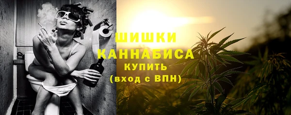 apvp Иннополис