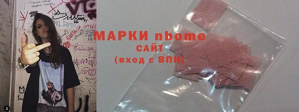 apvp Иннополис
