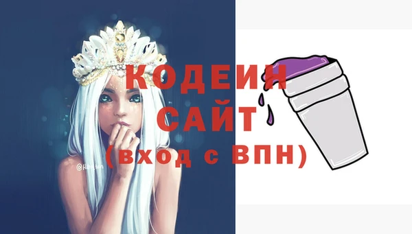 apvp Иннополис