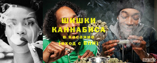 стаф Каменногорск