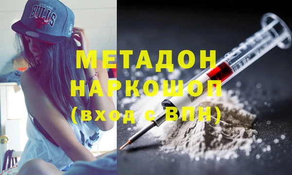 стаф Каменногорск