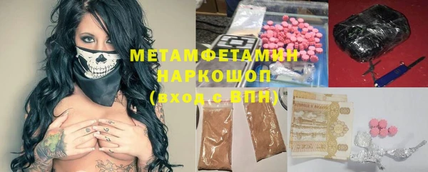apvp Иннополис