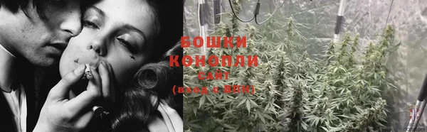 apvp Иннополис