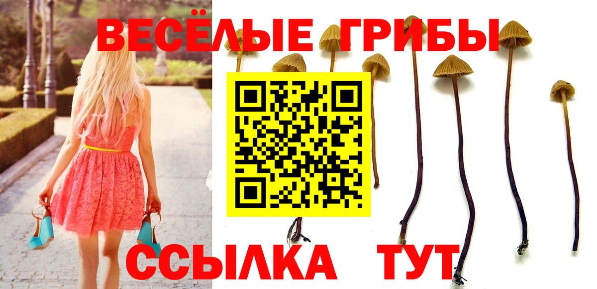 Галлюциногенные грибы прущие грибы Усинск