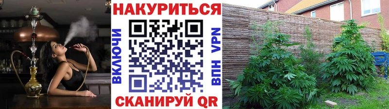 где купить   Усинск  Канабис Amnesia 